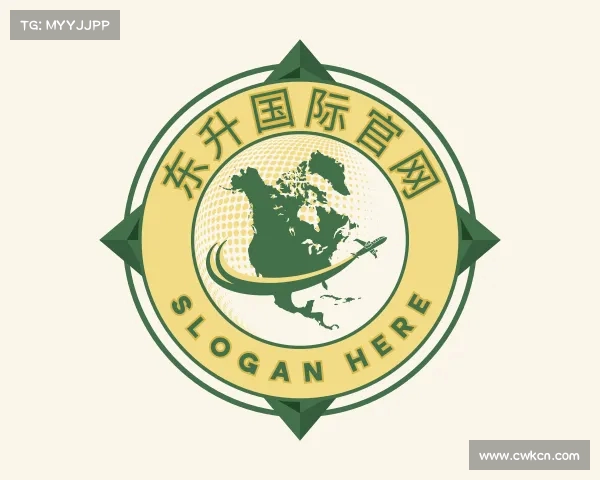 发现东升国际官网